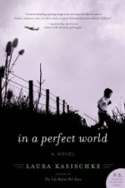 in_perfect_world